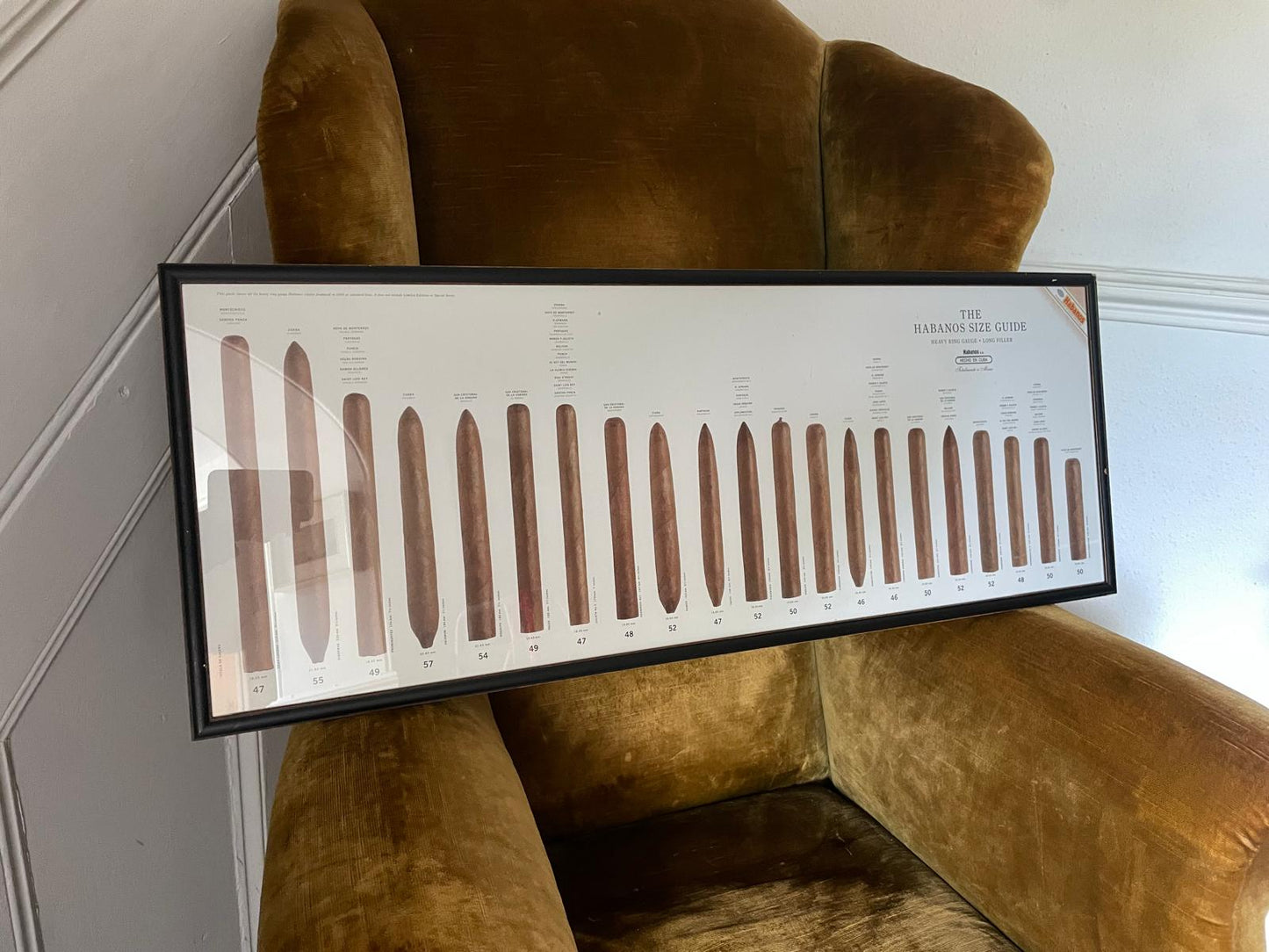 Cigar Sizes